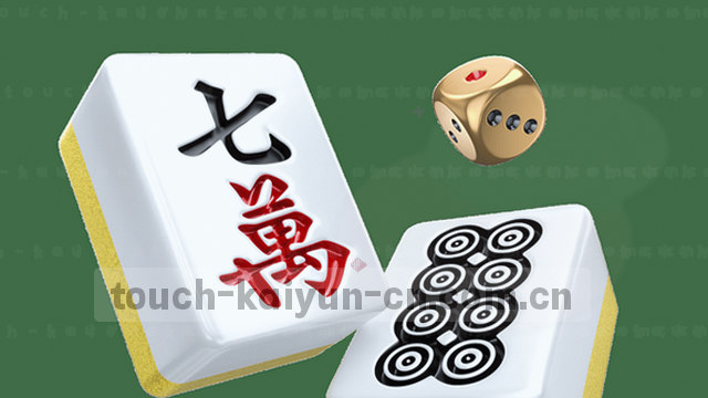 技术支持范围